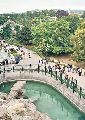 tiergarten schnbrunn_zoo_vienna